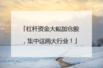 杠杆资金大幅加仓股，集中这两大行业！