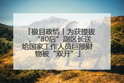 极目政情丨为获提拔，“80后”副区长送给国家工作人员巨额财物被“双开”