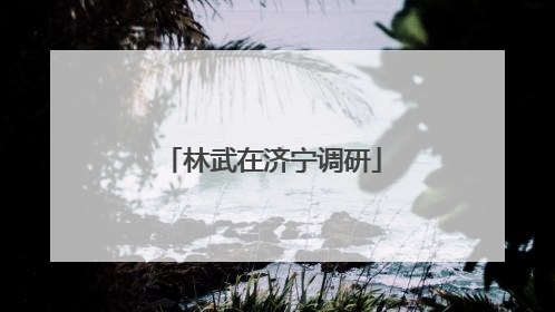 林武在济宁调研