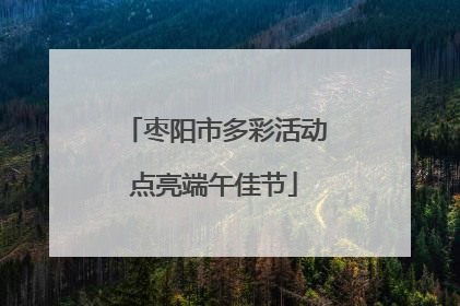 枣阳市多彩活动点亮端午佳节
