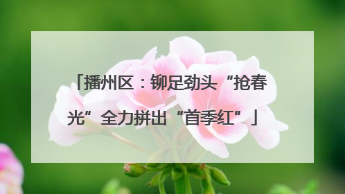 播州区：铆足劲头“抢春光”全力拼出“首季红”