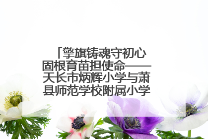 擎旗铸魂守初心 固根育苗担使命——天长市炳辉小学与萧县师范学校附属小学结对共建活动纪实