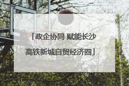 政企协同 赋能长沙高铁新城自贸经济圈