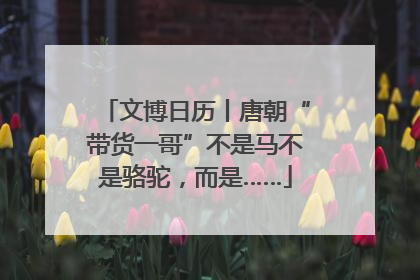 文博日历丨唐朝“带货一哥”不是马不是骆驼，而是……