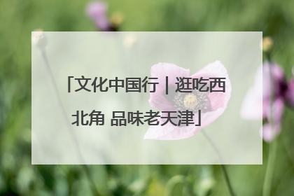 文化中国行｜逛吃西北角 品味老天津