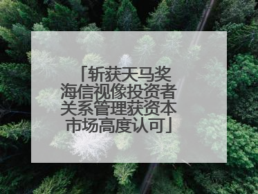 斩获天马奖 海信视像投资者关系管理获资本市场高度认可