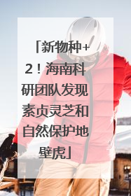 新物种+2！海南科研团队发现素贞灵芝和自然保护地壁虎