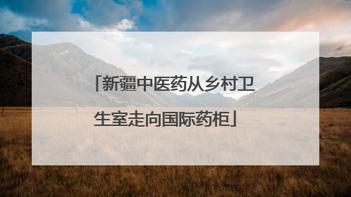 新疆中医药从乡村卫生室走向国际药柜