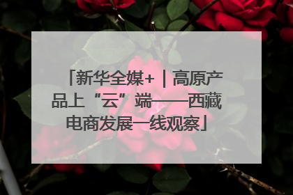 新华全媒+｜高原产品上“云”端——西藏电商发展一线观察