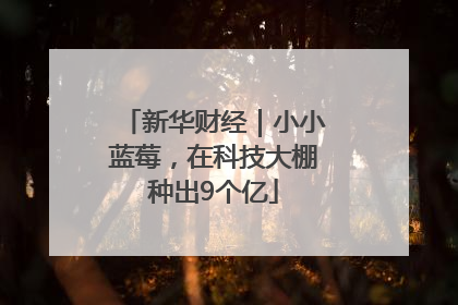 新华财经｜小小蓝莓，在科技大棚种出9个亿