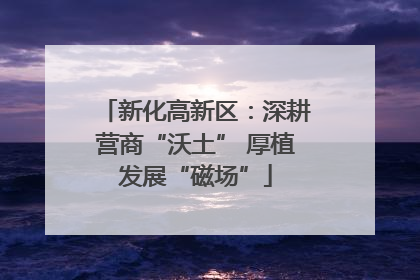 新化高新区：深耕营商“沃土” 厚植发展“磁场”