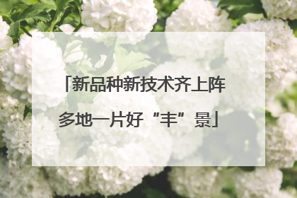 新品种新技术齐上阵 多地一片好“丰”景