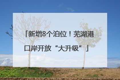 新增8个泊位！芜湖港口岸开放“大升级”