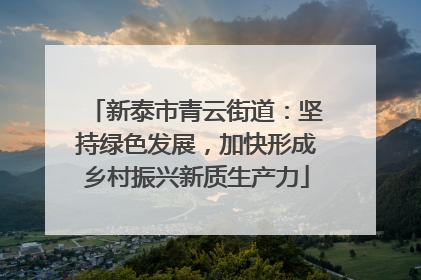新泰市青云街道：坚持绿色发展，加快形成乡村振兴新质生产力