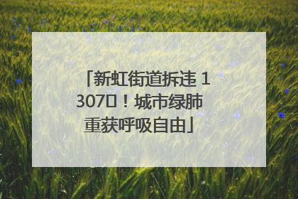 新虹街道拆违 1307㎡！城市绿肺重获呼吸自由