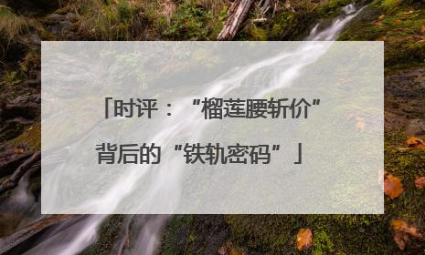 时评：“榴莲腰斩价”背后的“铁轨密码”