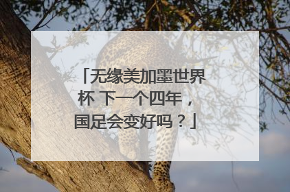 无缘美加墨世界杯 下一个四年，国足会变好吗？