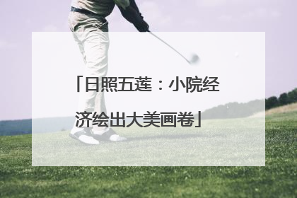 日照五莲：小院经济绘出大美画卷