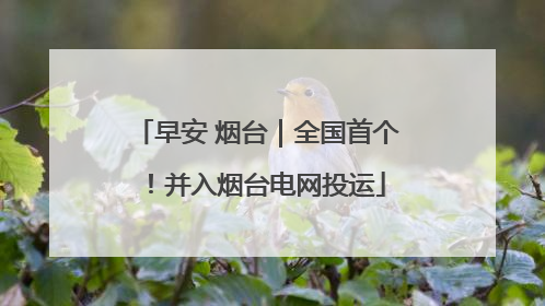 早安 烟台｜全国首个！并入烟台电网投运