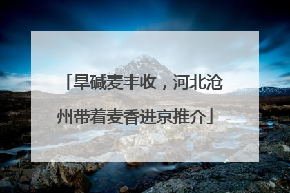 旱碱麦丰收，河北沧州带着麦香进京推介