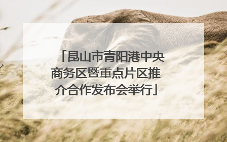 昆山市青阳港中央商务区暨重点片区推介合作发布会举行
