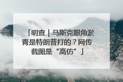 明查｜马斯克眼角淤青是特朗普打的？网传截图是“高仿”