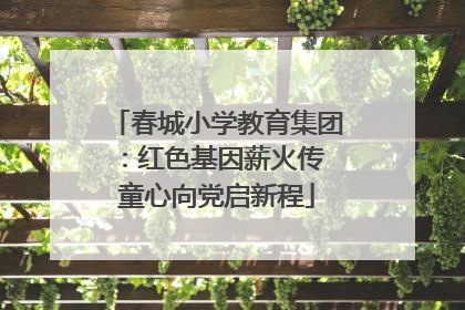 春城小学教育集团：红色基因薪火传 童心向党启新程