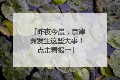 昨夜今晨，京津冀发生这些大事！点击看报→