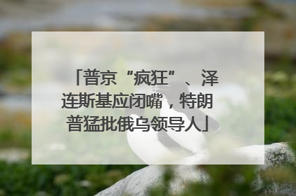 普京“疯狂”、泽连斯基应闭嘴，特朗普猛批俄乌领导人