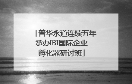普华永道连续五年承办IBI国际企业孵化器研讨班