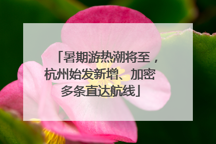 暑期游热潮将至，杭州始发新增、加密多条直达航线