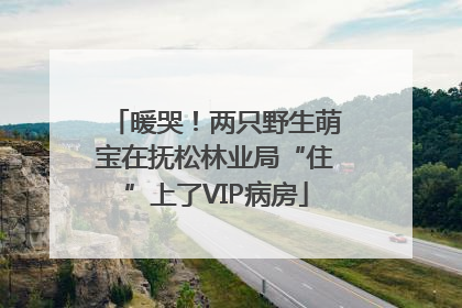 暖哭！两只野生萌宝在抚松林业局“住”上了VIP病房