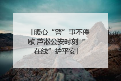 暖心“警”事不停歇 芦淞公安时刻“在线”护平安