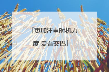 更加注重时机力度 夏吾交巴