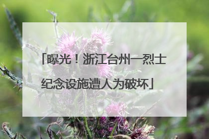 曝光！浙江台州一烈士纪念设施遭人为破坏