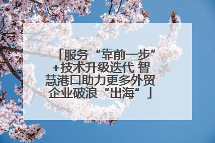 服务“靠前一步”+技术升级迭代 智慧港口助力更多外贸企业破浪“出海”