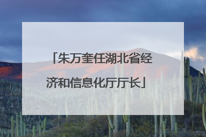 朱万奎任湖北省经济和信息化厅厅长