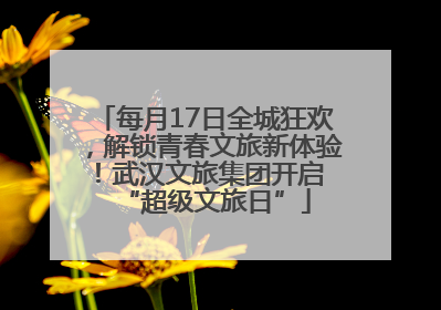 每月17日全城狂欢，解锁青春文旅新体验！武汉文旅集团开启 “超级文旅日”