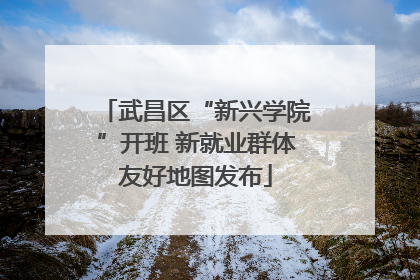 武昌区“新兴学院”开班 新就业群体友好地图发布