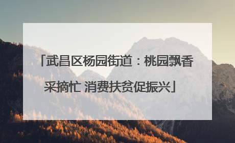 武昌区杨园街道：桃园飘香采摘忙 消费扶贫促振兴