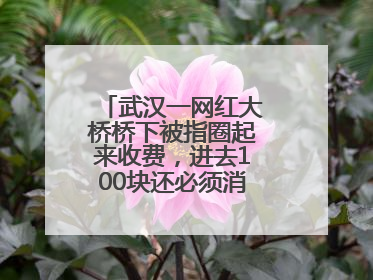 武汉一网红大桥桥下被指圈起来收费，进去100块还必须消费？当地回应