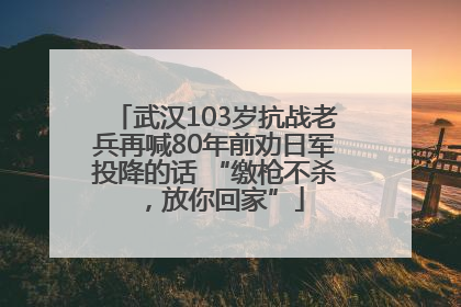 武汉103岁抗战老兵再喊80年前劝日军投降的话 “缴枪不杀，放你回家”