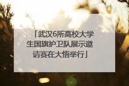 武汉6所高校大学生国旗护卫队展示邀请赛在大悟举行