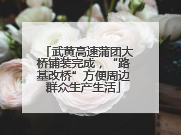 武黄高速蒲团大桥铺装完成，“路基改桥”方便周边群众生产生活