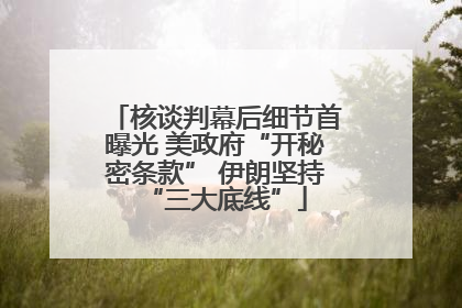 核谈判幕后细节首曝光 美政府“开秘密条款” 伊朗坚持“三大底线”