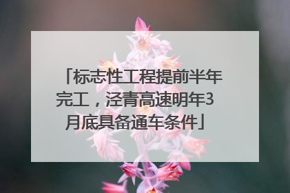 标志性工程提前半年完工，泾青高速明年3月底具备通车条件