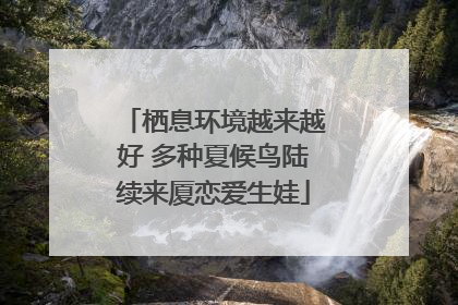 栖息环境越来越好 多种夏候鸟陆续来厦恋爱生娃