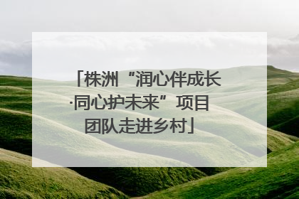 株洲“润心伴成长·同心护未来”项目团队走进乡村