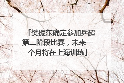樊振东确定参加乒超第二阶段比赛，未来一个月将在上海训练