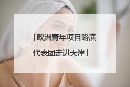欧洲青年项目路演代表团走进天津